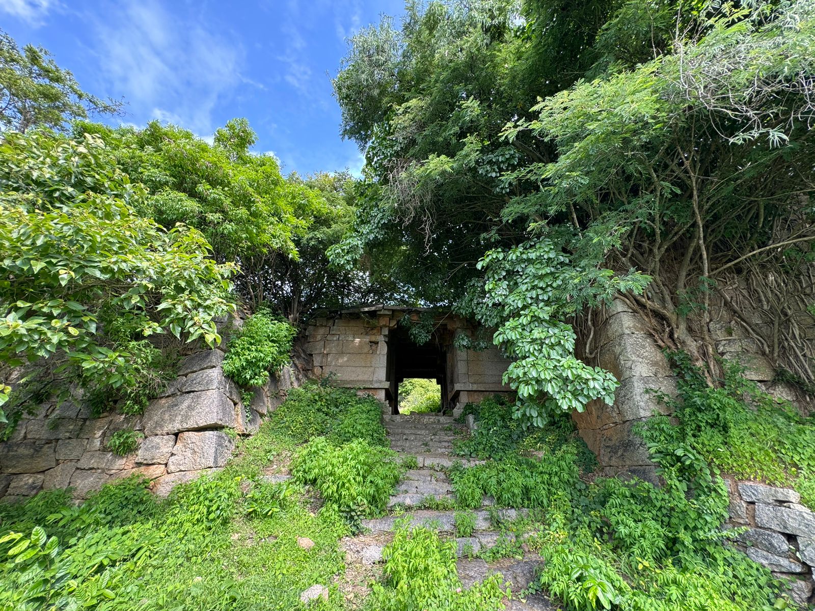 WMG Foundation Header